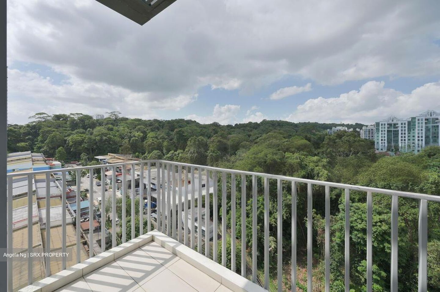 Natura@Hillview (D23), Apartment #484658121